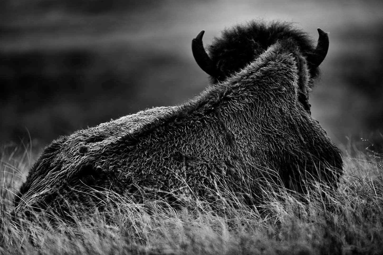 059_005_1AA9678