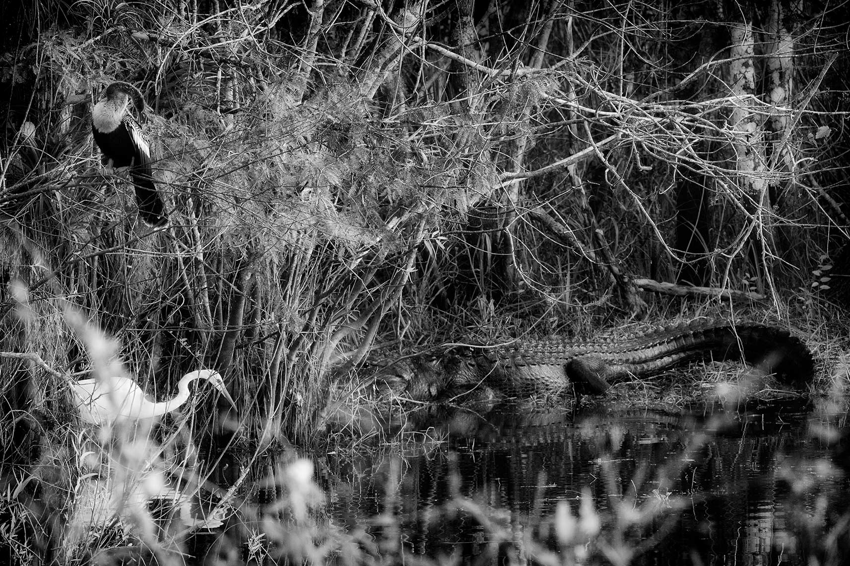 062_001_5AA5868