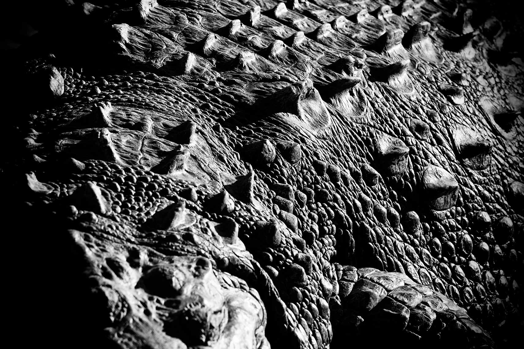 062_005_1AA1303