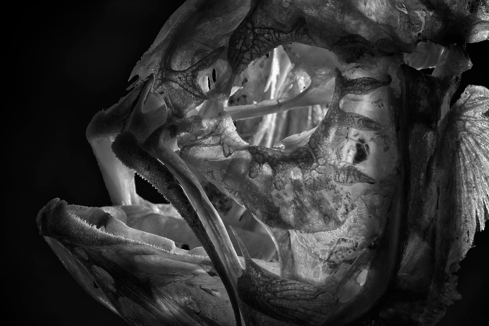 069_010_FR_1HH8752