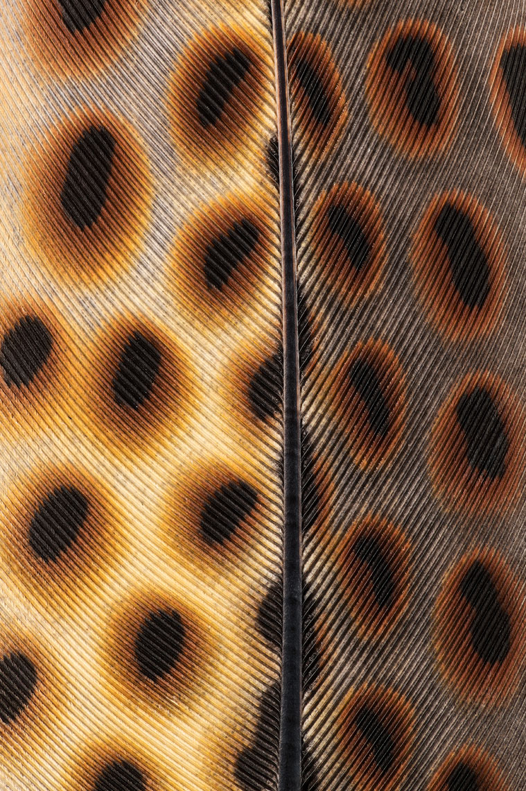 083_2021-08-30_18-05-18_32a_2021.03