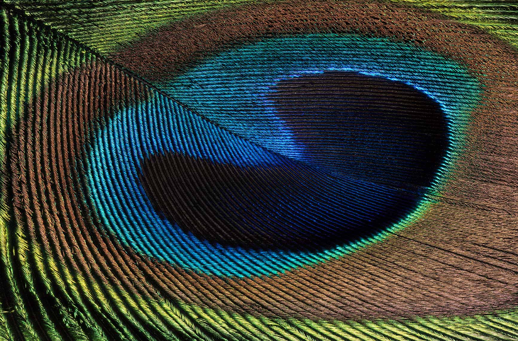 083_2021-09-03_16-16-49_Pfau_2021.08