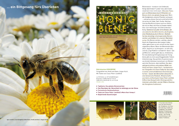 BEES_Book_Preview_02