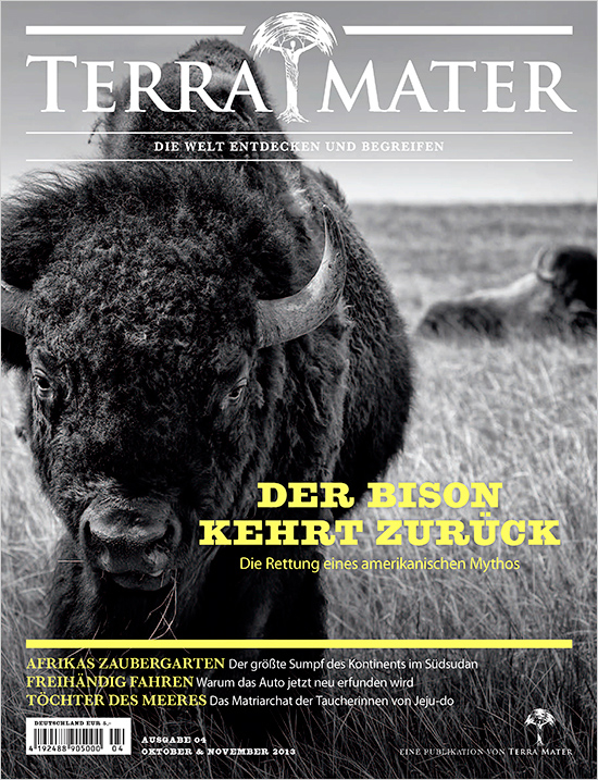 Bison_TERRAMATERMAGAZIN_AT_COVER