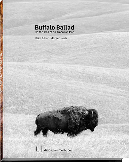 BuffaloBallad_Cover_3D