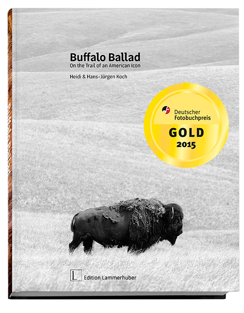 BuffaloBallad_Cover_GOLD