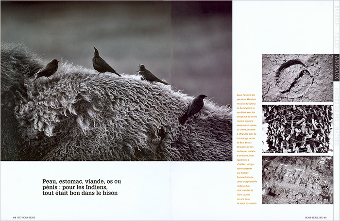 BuffaloBallad_GEO-HORS-SERIE_FR_05