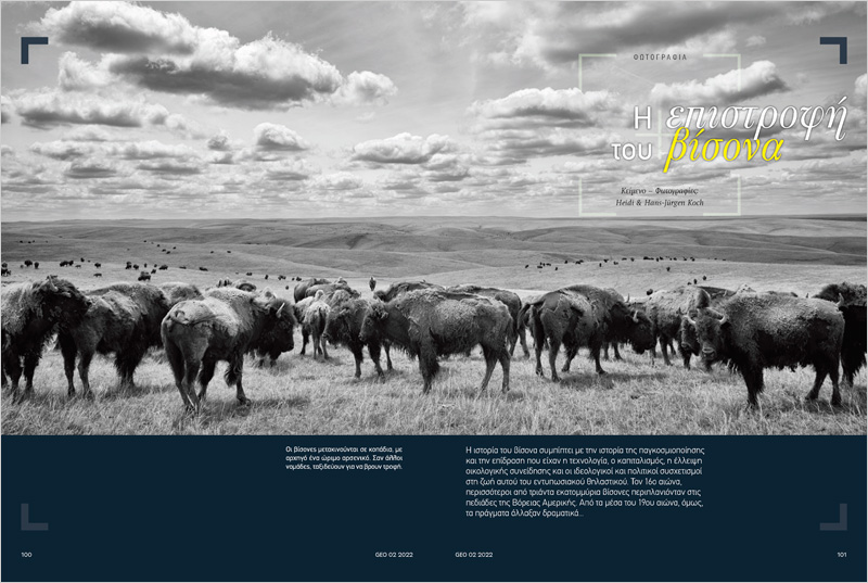 BuffaloBallad_GEO_GR_01