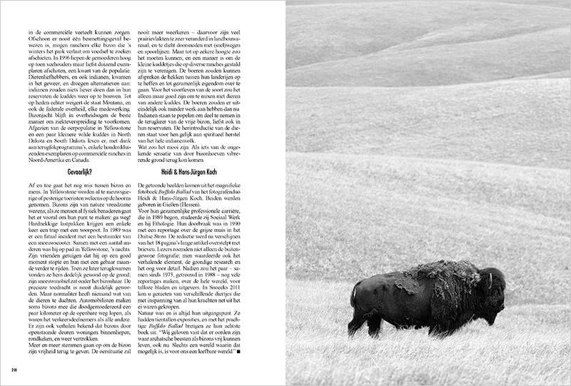 BuffaloBallad_SNOECKS_BE_04