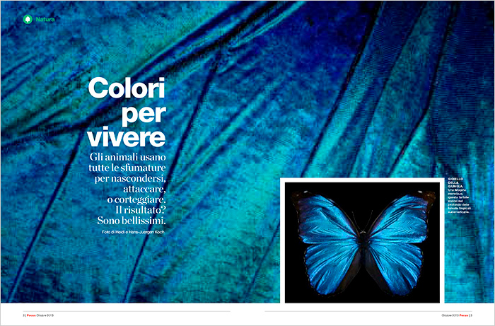 Color_FOCUS_IT_01