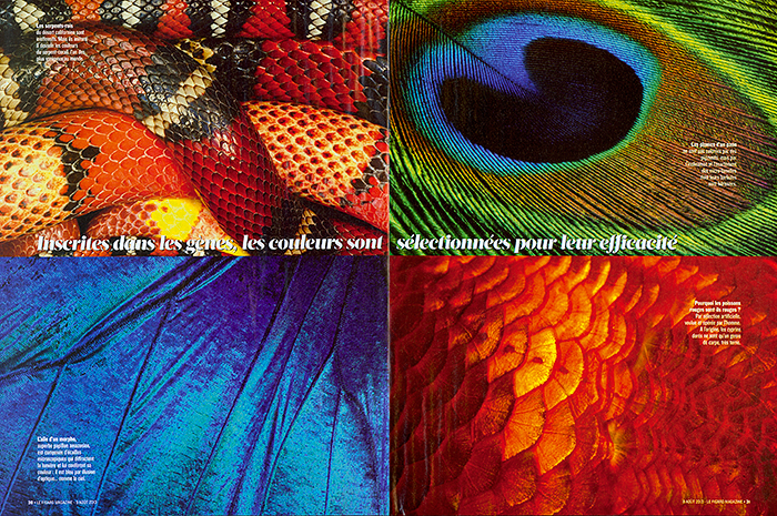 Color_LEFIGAROMAGAZINE_FR_02