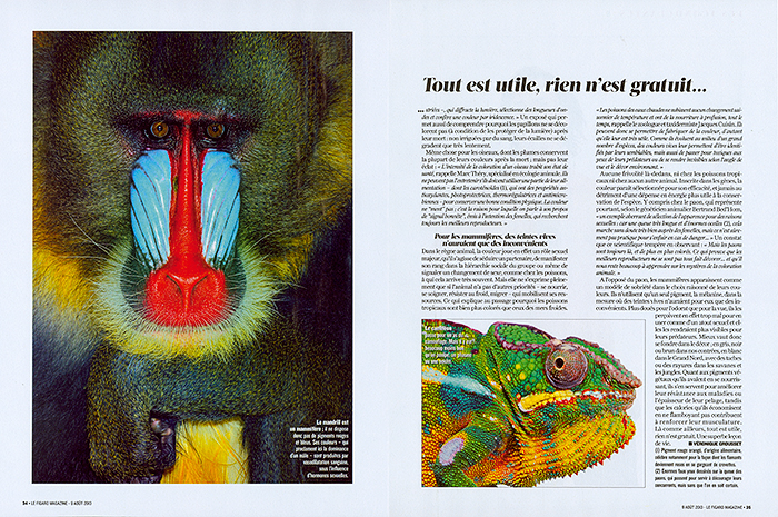 Color_LEFIGAROMAGAZINE_FR_04