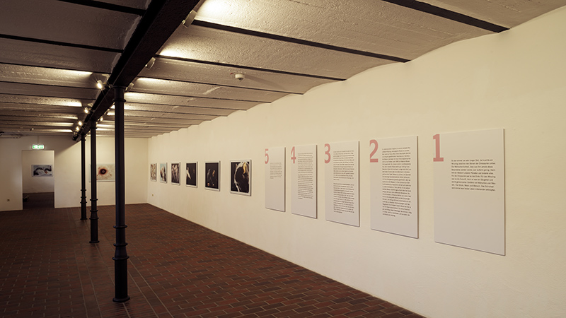 DankeMaus_Exhibit_Sinsteden_2022_1Z78194