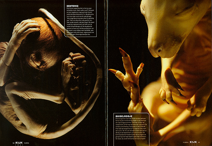 Embryos-Fetuses_KIJK_NL_02