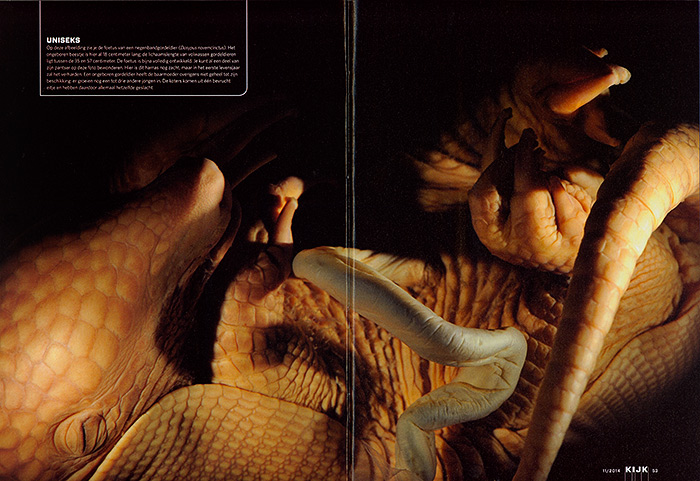 Embryos-Fetuses_KIJK_NL_03