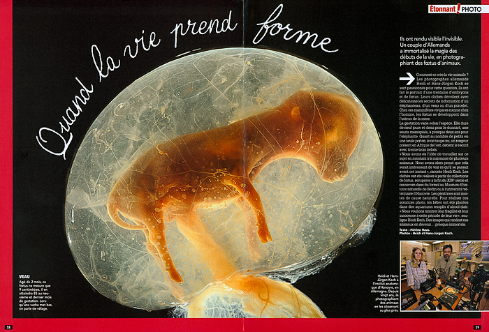 EmbryosFetuses_CAMINTERESSE_TONNANT_FR_01