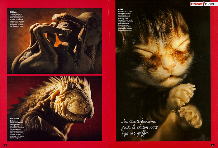 EmbryosFetuses_CAMINTERESSE_TONNANT_FR_03