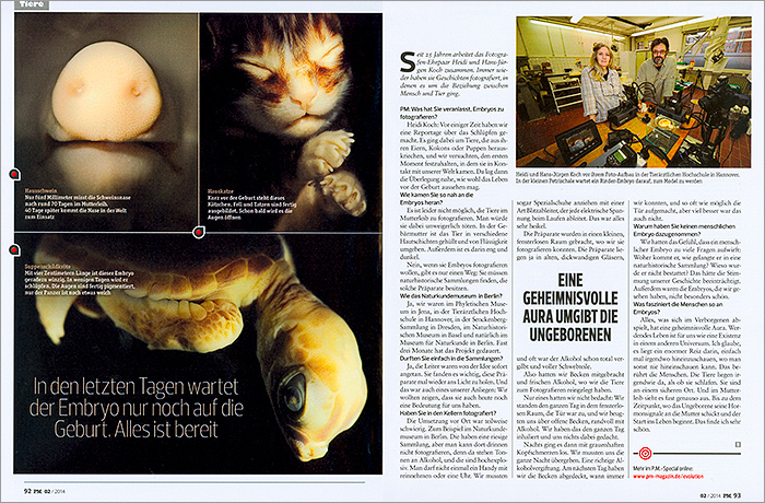 EmbryosFetuses_PM-MAGAZIN_DE_04