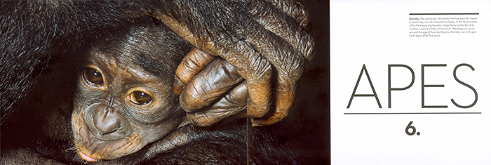 GreatApes_WILDandPRECIOUS_Book_001