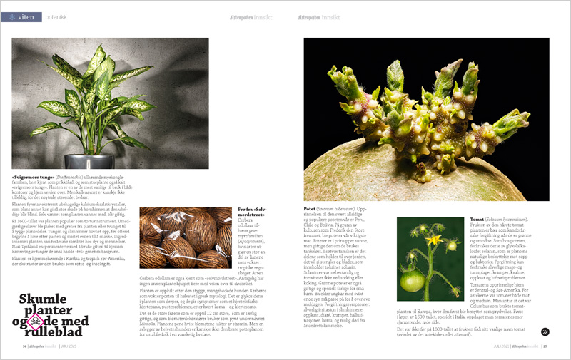 PoisonousPlants_AFTENPOSTEN_NO_03