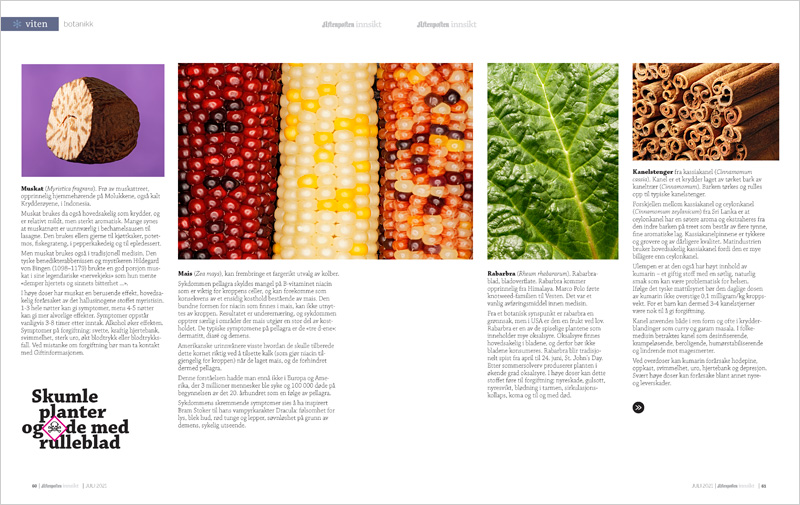 PoisonousPlants_AFTENPOSTEN_NO_05