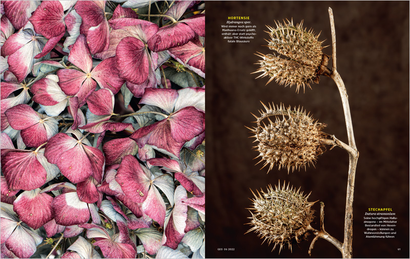 PoisonousPlants_GEO_DE_05