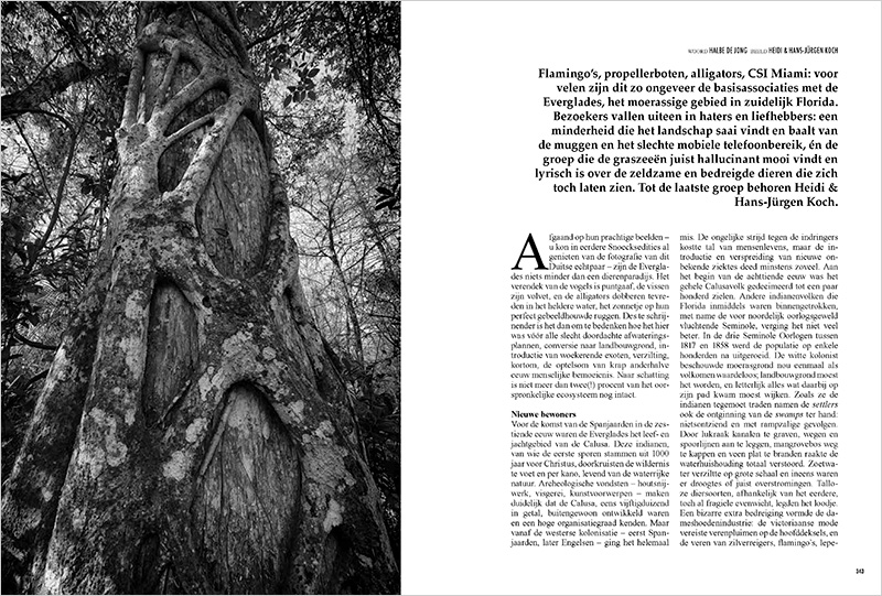 Swamp_SNOECKS_BE_02
