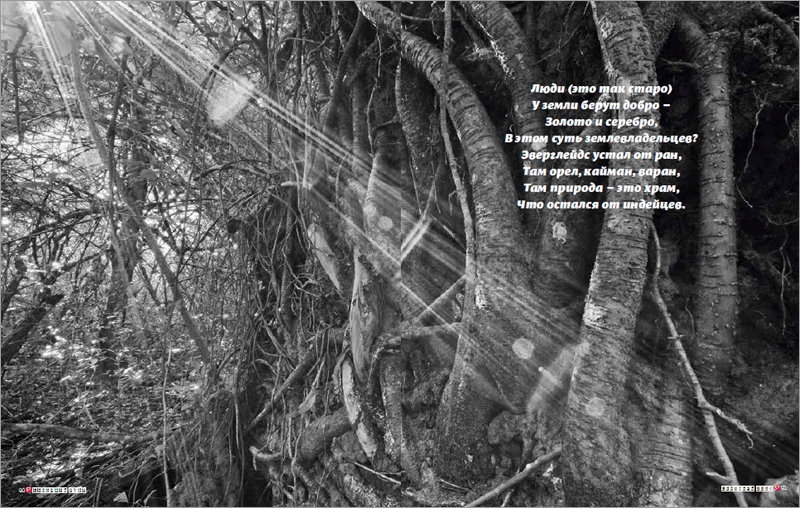 Swamp_s7MAGAZINE_RU_02